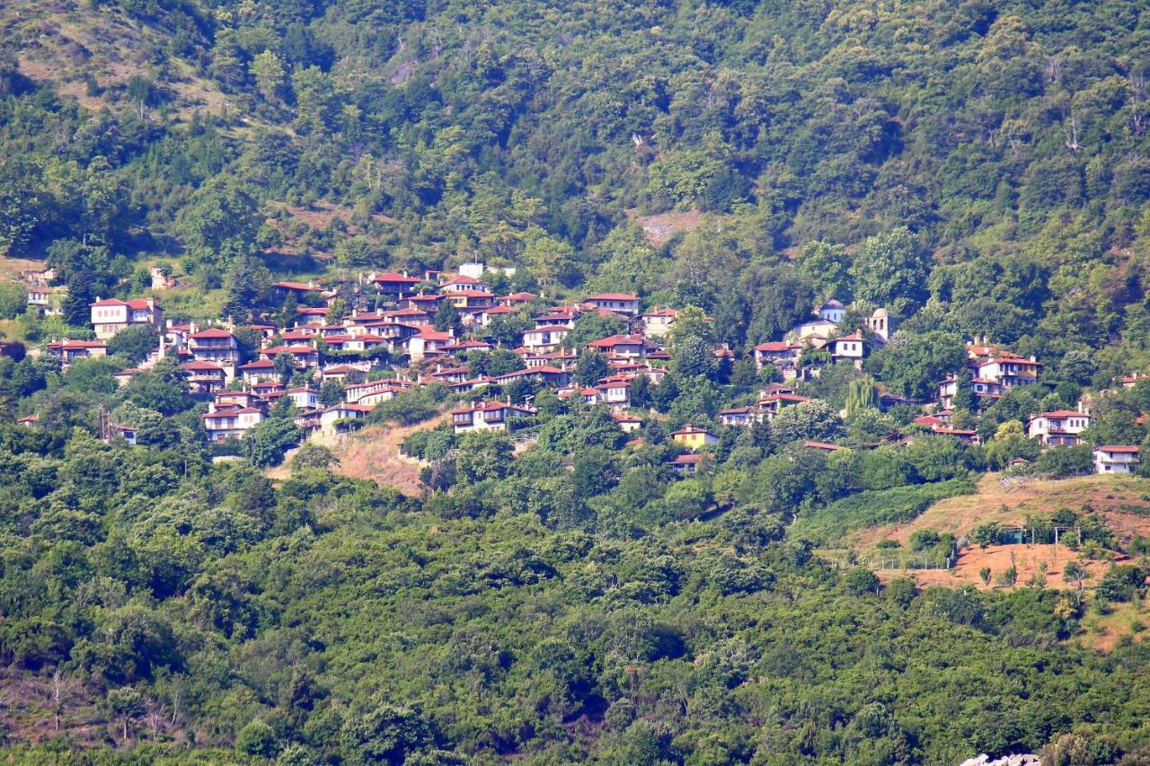 Apartmán Ktima Garas Paralia Pantaleimonos Exteriér fotografie